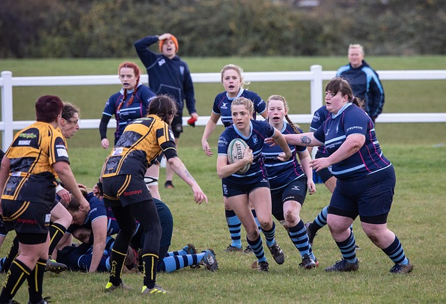 波特完全有 波特完全有