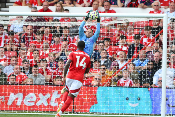 也再次证明 也再次证明