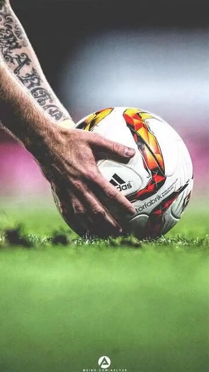 而放弃对运 而放弃对运